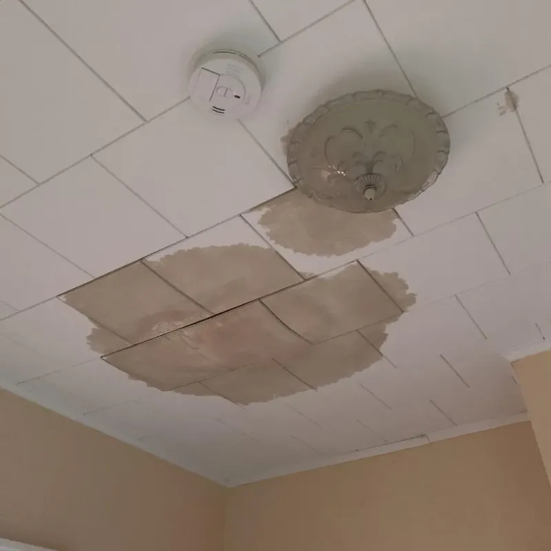 Ceiling Water Damage Repair in Youngsville, PA