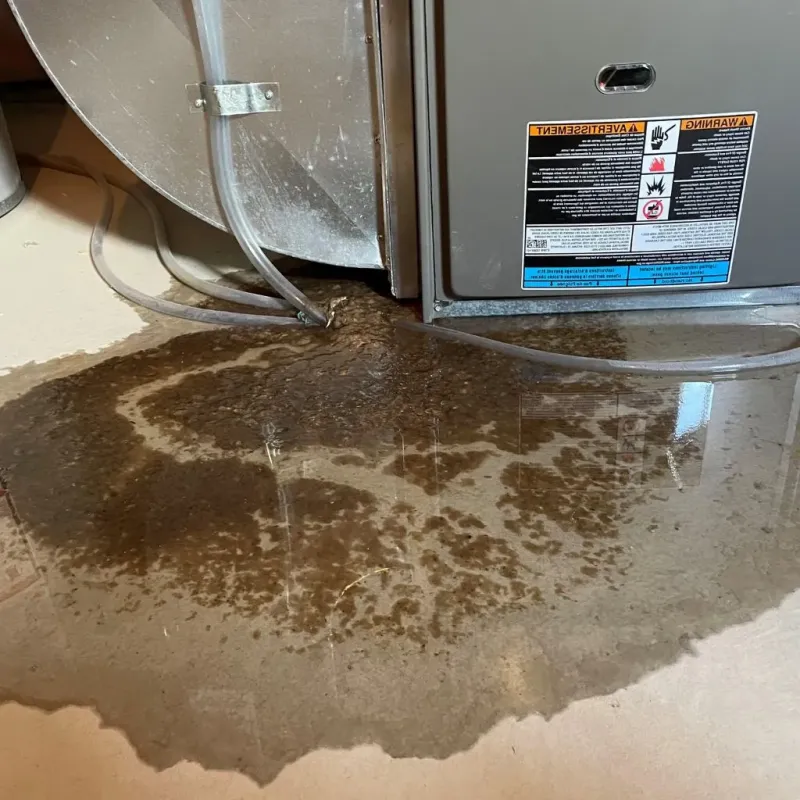 Pipe Burst and Leak Restoration in Youngsville, PA