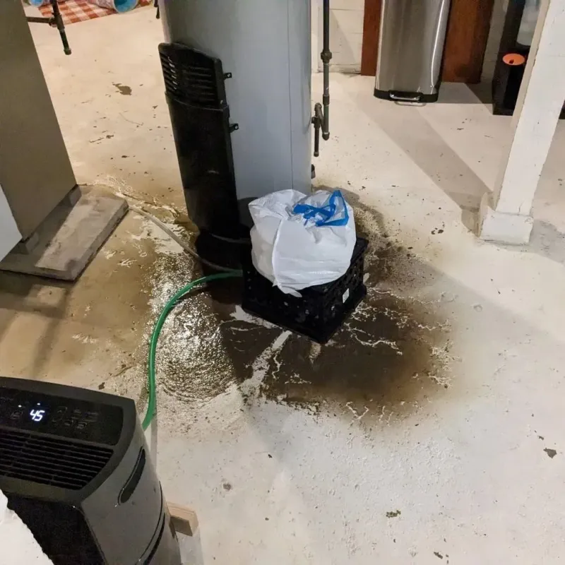 Sewage Backup Cleanup Service in Youngsville, PA